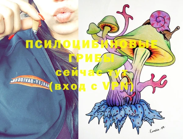 стафф Верея