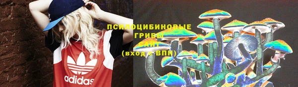 стафф Верея
