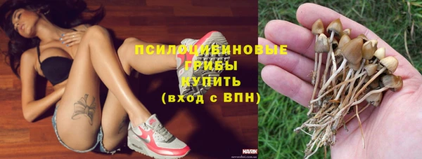 стафф Верея