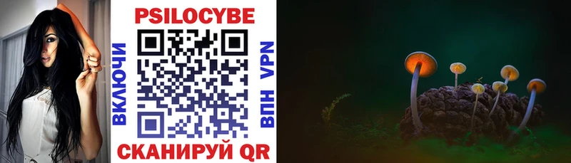 Купить закладки  Абаза  Псилоцибиновые грибы Cubensis 